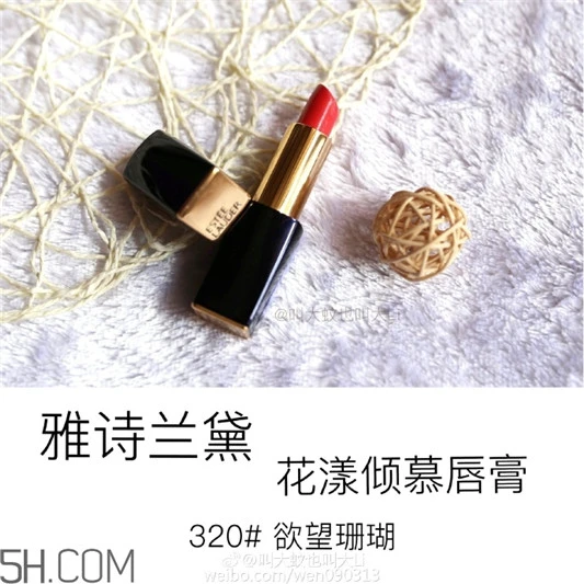 雅诗兰黛倾慕320颜色，雅诗兰黛倾慕320好看吗 雅诗兰黛 雅诗兰黛倾慕320颜色 雅诗兰黛倾慕320好看吗 第8张