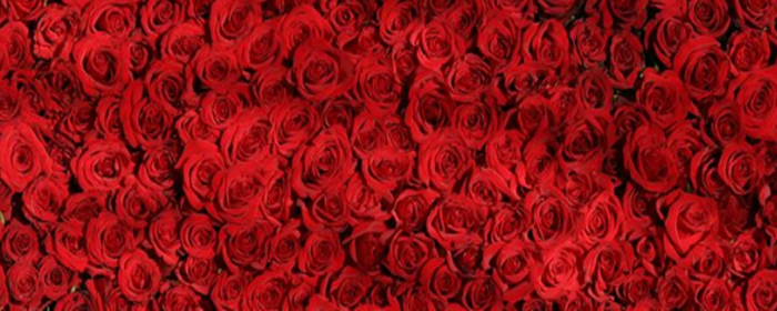 怎么脱毛才彻底 脱毛 美妆 第1张