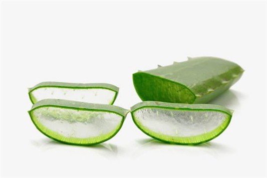 用芦荟擦脸的正确方法 芦荟 第1张 用芦荟擦脸的正确方法 芦荟 第1张