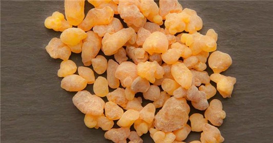 5款居家必备的常用精油 乳香精油 柠檬精油 精油 薄荷精油 薰衣草精油 雪松精油 第1张