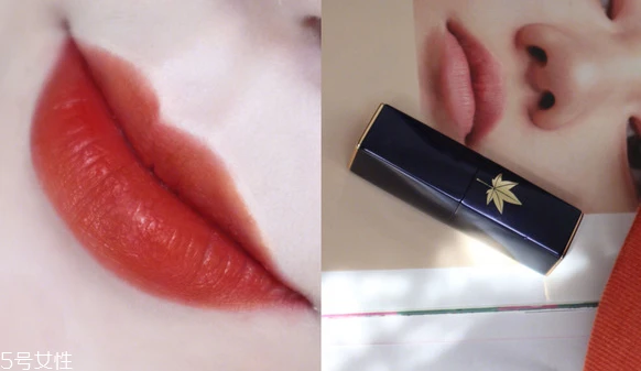 雅诗兰黛333干不干，哑光口红却哑而不干 雅诗兰黛 雅诗兰黛口红 雅诗兰黛333干不干 第5张