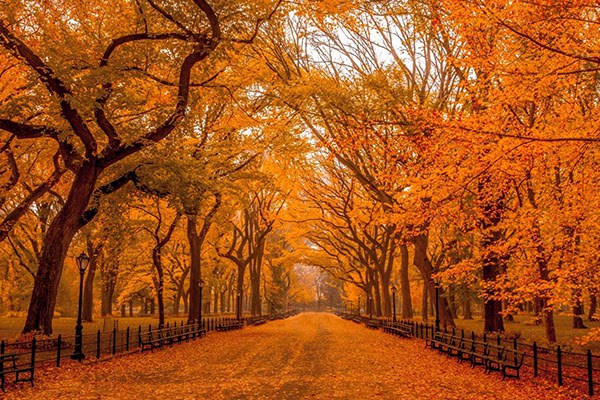 雅诗兰黛持妆粉底液适合秋天吗 雅诗兰黛 粉底液 第1张