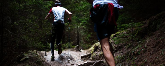 喝冬瓜荷叶茶能减肥吗 减肥 美妆 第2张