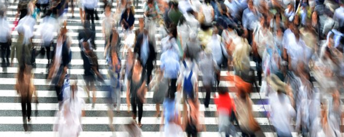 晚上只吃菜不吃饭能减肥吗 减肥 美妆 第1张