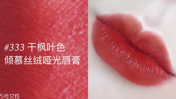 雅诗兰黛333干不干，哑光口红却哑而不干 雅诗兰黛 雅诗兰黛口红 雅诗兰黛333干不干 第6张