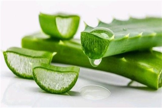 芦荟胶不能白天用吗 芦荟制品 护肤品 第2张