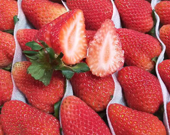 小孩脸上有斑怎么祛斑 祛斑}儿童斑点 美妆 第3张