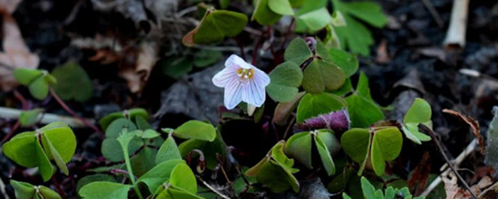每天用盐水洗脸有什么好处 洗脸 美妆 第2张