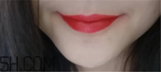 雅诗兰黛唇膏大表姐色是什么色，适合黄皮吗 雅诗兰黛 唇膏 雅诗兰黛唇膏 第2张