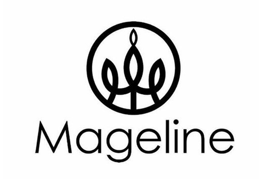 麦吉丽和梵蜜琳区别是什么 麦吉丽 梵蜜琳 第1张