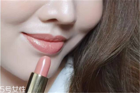 雅诗兰黛110口红试色，尽显优雅端庄气质 雅诗兰黛口红 雅诗兰黛110口红试色 第1张