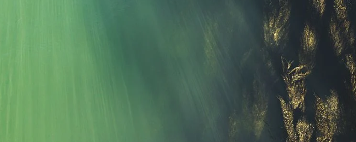 海藻面膜可以天天用吗 海藻面膜 美妆 第1张