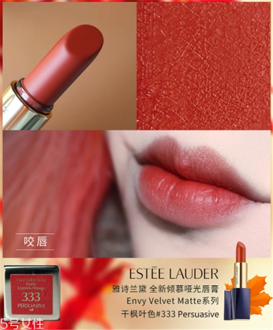 雅诗兰黛333口红试色，最美的干枫叶色 雅诗兰黛口红 雅诗兰黛333口红试色 第8张