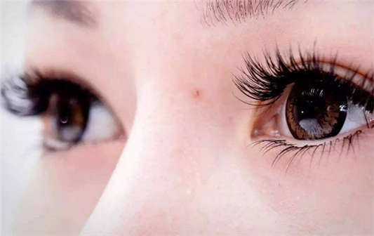 种的睫毛能坚持多长时间 种睫毛 第3张