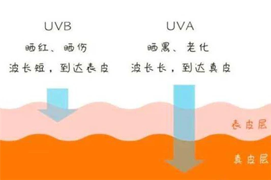 怡思丁防晒多少钱 怡思丁 防晒霜 第3张