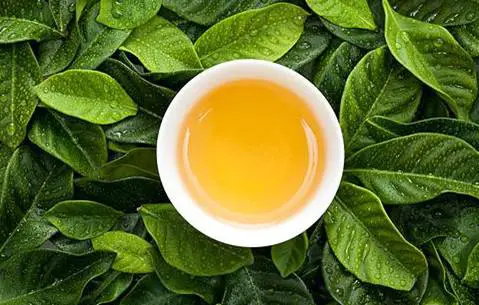 用茶叶水洗脸可以祛痘吗 祛痘 茶叶水洗脸 美妆 第2张