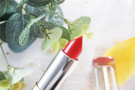 雅诗兰黛恋爱310适合日常吗，雅诗兰黛恋爱310素颜吗 雅诗兰黛 口红 雅诗兰黛恋爱310适合日常吗 第3张