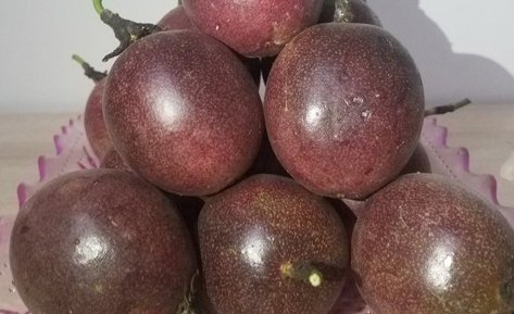 吃百香果多久能美白 百香果 百香果美白 美妆 第1张