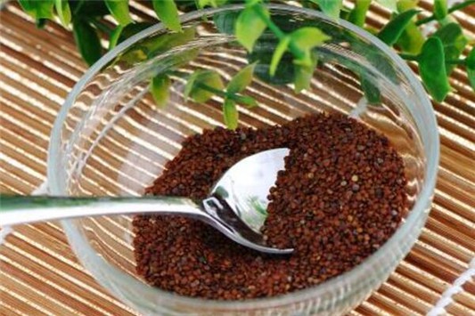 海藻面膜的功效和作用是什么 面膜 第1张