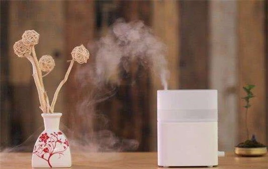 加湿器可以加香水吗 加湿器 第1张