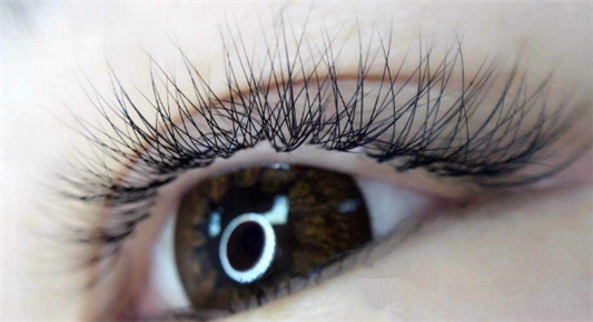 种的睫毛能坚持多长时间 种睫毛 第1张