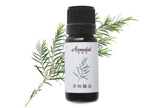 单方精油的功效与用法 精油 第1张