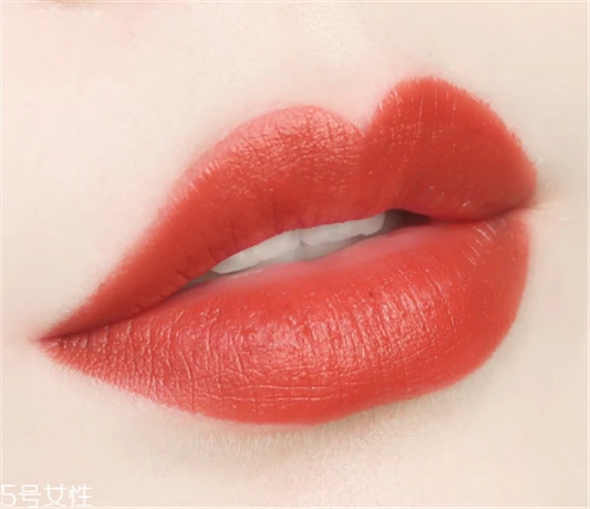 雅诗兰黛333口红试色，最美的干枫叶色 雅诗兰黛口红 雅诗兰黛333口红试色 第14张