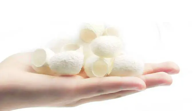 天然去黑头蚕茧有没有用 去黑头 去黑头蚕茧 美妆 第2张