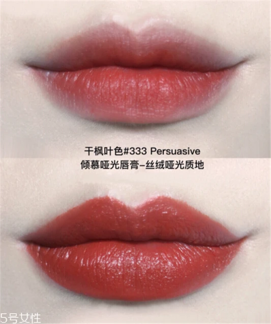 雅诗兰黛307和333哪个更好看，2大枫叶色pk 雅诗兰黛 雅诗兰黛口红 雅诗兰黛307和333哪个更好看 第7张