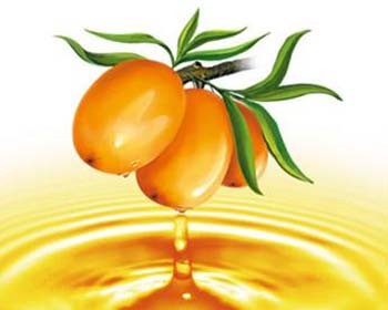 敏感肌肤能用橄榄油吗，橄榄油有哪些效果 橄榄油 美白祛黄 第1张