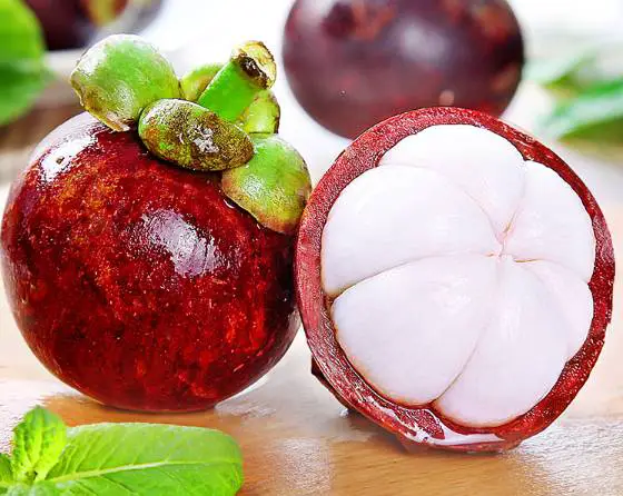 山竹皮怎么去粉刺 粉刺 山竹皮去粉刺 美妆 第2张