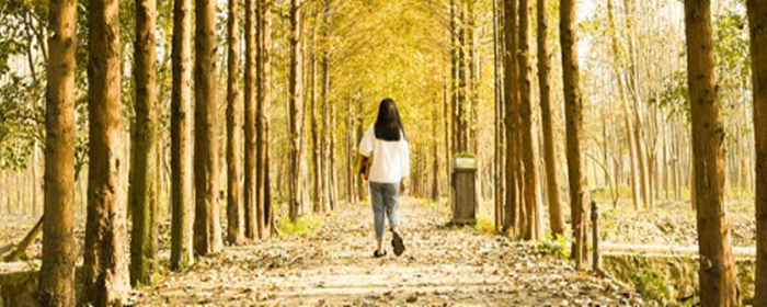 怎么去白头粉刺 去白头粉刺 美妆 第1张 怎么去白头粉刺 去白头粉刺 美妆 第1张