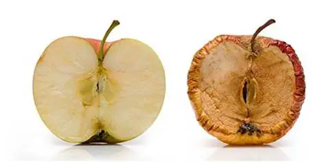 抗衰项目有哪些 抗衰 抗衰项目 美妆 第2张