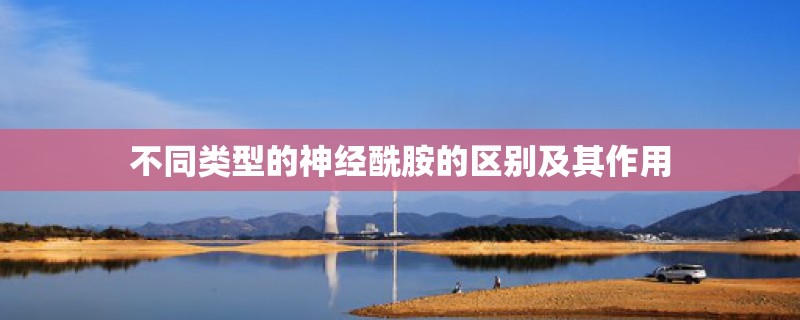 不同类型的神经酰胺的区别及其作用