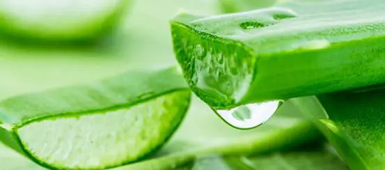 脸部脱皮起皮可以用芦荟胶吗 脱皮 芦荟胶 美妆 第3张