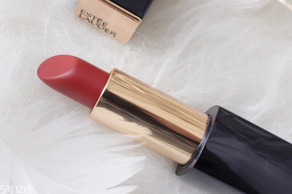 雅诗兰黛333适合妈妈吗，枫叶色适合年长女性 雅诗兰黛 雅诗兰黛口红 雅诗兰黛333适合妈妈吗 第5张