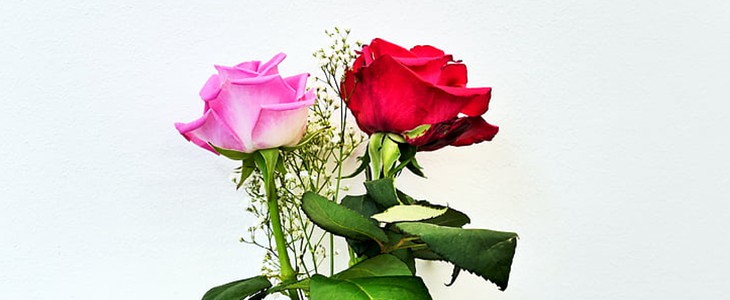 四十岁女人如何保养 四十岁女人 保养 美妆 第2张