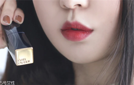 雅诗兰黛魅色系列试色，雅诗兰黛envy系列 雅诗兰黛口红 雅诗兰黛魅色系列试色 雅诗兰黛envy系列 第4张