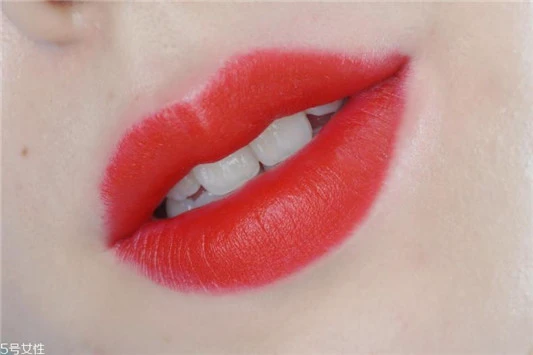 雅诗兰黛恋爱310适合日常吗，雅诗兰黛恋爱310素颜吗 雅诗兰黛 口红 雅诗兰黛恋爱310适合日常吗 第4张