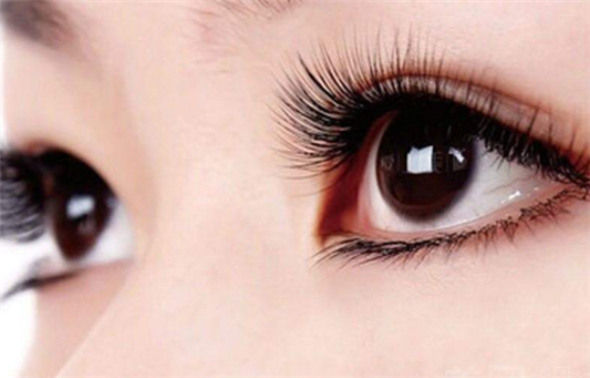 种睫毛和嫁接睫毛区别 种睫毛 嫁接睫毛 第1张