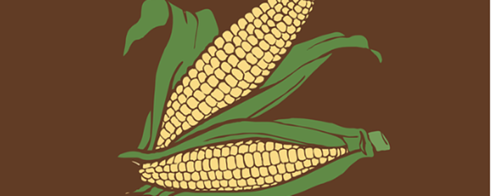 一天三顿吃玉米减肥吗 减肥 美妆 第2张