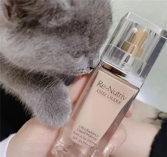 2020大牌粉底液红黑榜，兰蔻轻薄好用，阿玛尼厚重拔干不推荐 粉底液 第1张