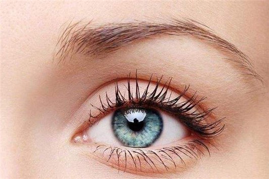 赫莲娜眼霜和资生堂悦薇眼霜哪个好 赫莲娜 眼霜 资生堂 第1张 赫莲娜眼霜和资生堂悦薇眼霜哪个好 赫莲娜 眼霜 资生堂 第1张