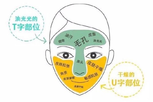 两颊干t区油是什么肤质 爽肤水 第1张 两颊干t区油是什么肤质 爽肤水 第1张