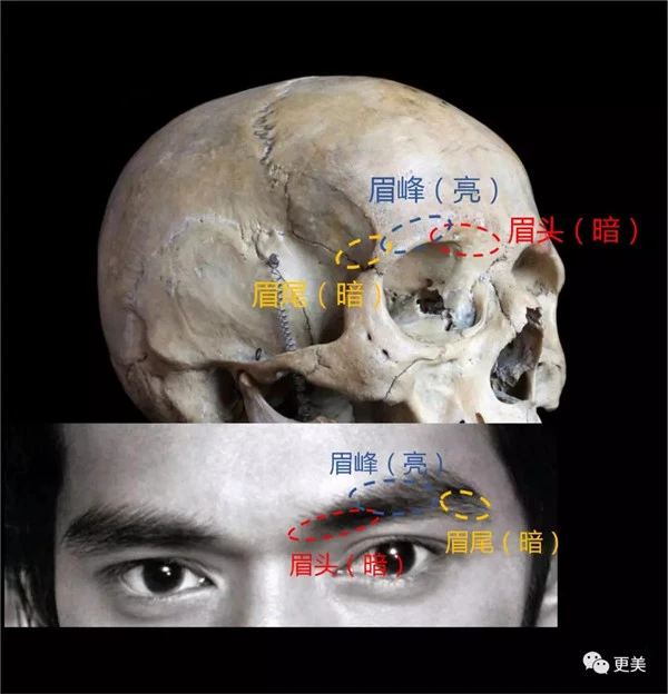 细弯眉妆容打造超强时尚感和精致度，细弯眉画法 细弯眉 时尚感 第26张