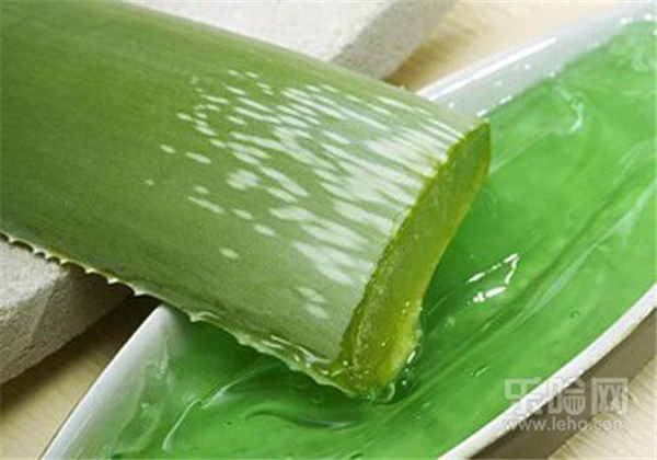 鲜芦荟怎么做面膜 护肤 第2张 鲜芦荟怎么做面膜 护肤 第2张