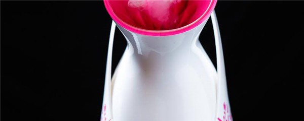 蒸脸器有什么作用，蒸脸器有什么副作用 护肤 第1张