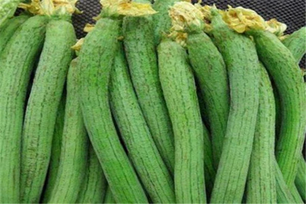 哪些食物有美白的效果，黄瓜美容养颜效果显著 美白 黄瓜 第2张
