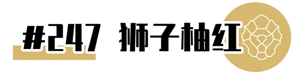 CHANEL2021年新品限定香奈儿狮子口红全系试色大全 口红 香奈儿 第28张