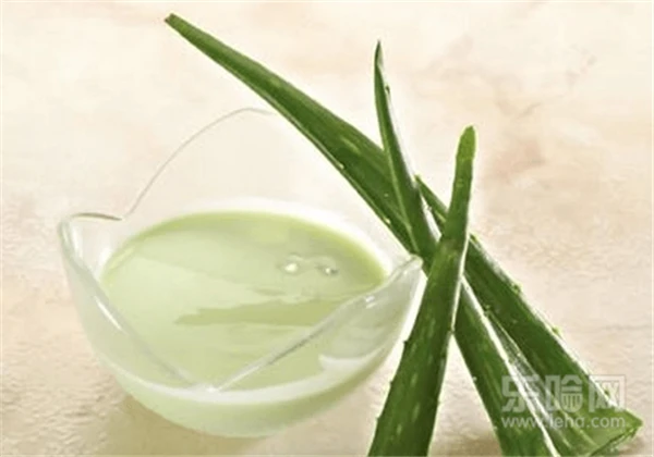 鲜芦荟怎么做面膜 护肤 第5张 鲜芦荟怎么做面膜 护肤 第5张